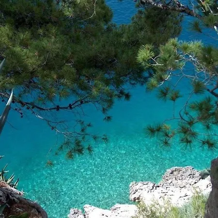 Apartman Levant Ventus By Interhome Makarska