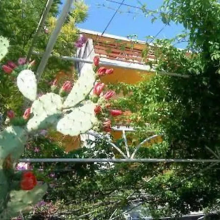 Levant Ventus By Interhome Makarska