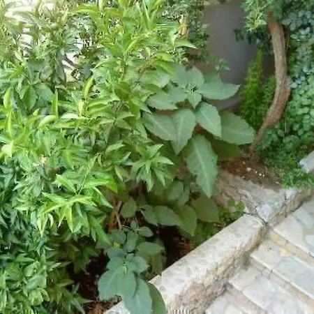 Levant Ventus By Interhome Apartment Makarska