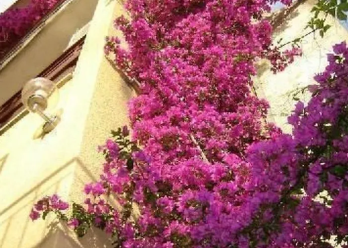 Levant Ventus By Interhome Apartment *