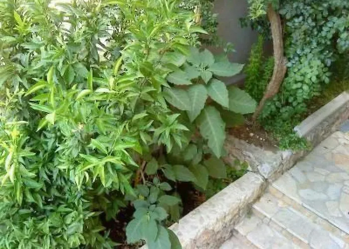 Levant Ventus By Interhome Apartment Makarska